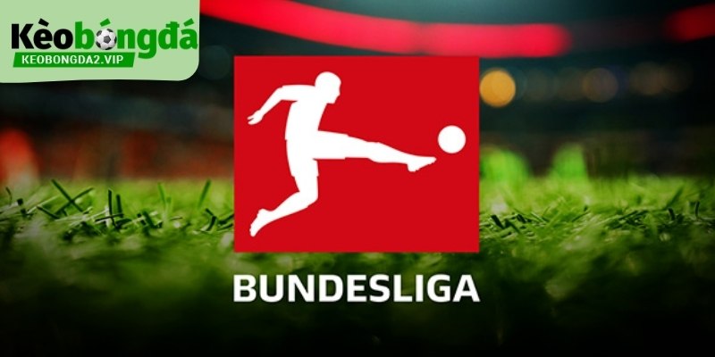 Số Liệu Thống Kê Bundesliga: Toàn Cảnh Giải Đấu Đức 1 so-lieu-thong-ke-bundesliga