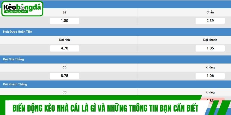 Biến Động Kèo Nhà Cái Là Gì Và Những Thông Tin Bạn Cần Biết 1 Biến Động Kèo Nhà Cái Là Gì Và Những Thông Tin Bạn Cần Biết