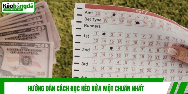 Kèo Nửa Một Là Gì Và Kinh Nghiệm Chơi Hiệu Quả Từ Chuyên Gia 3 Hướng dẫn cách đọc kèo nửa một chuẩn nhất