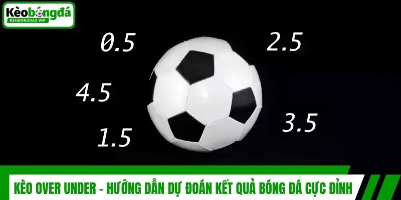 Kèo Over Under - Hướng Dẫn Dự Đoán Kết Quả Bóng Đá Cực Đỉnh 1 Kèo Over Under - Hướng Dẫn Dự Đoán Kết Quả Bóng Đá Cực Đỉnh