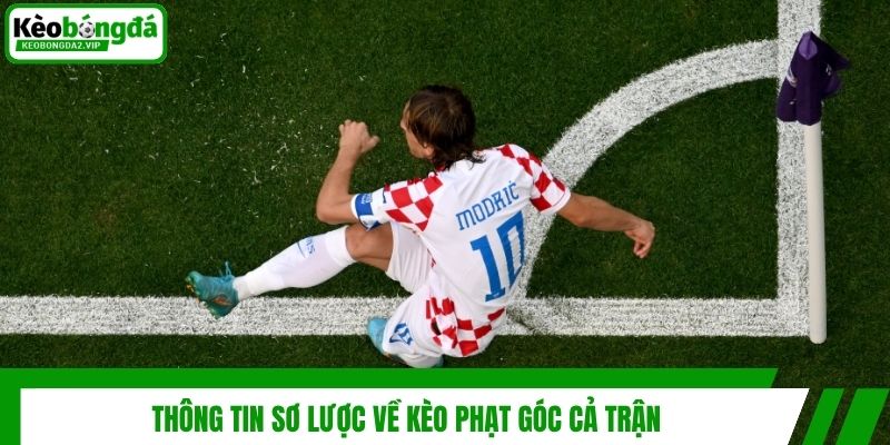Kèo Phạt Góc Cả Trận Là Gì? Bí Quyết Cực Hiệu Quả Từ Cao Thủ 2 Thông tin sơ lược về kèo phạt góc cả trận