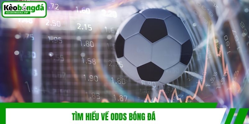 Odds Bóng Đá Là Gì? Giải Mã Tỷ Lệ Kèo Cược Đầy Đủ 2 Tìm hiểu về Odds bóng đá