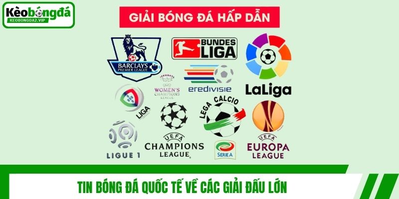 Tin Bóng Đá Quốc Tế - Cập Nhật Diễn Biến Sân Cỏ Thế Giới 3 Tin bóng đá quốc tế về các giải đấu lớn