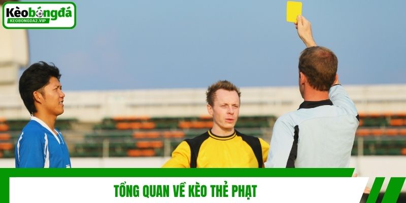 Kèo Thẻ Phạt Là Gì Và Những Thông Tin Hữu Ích Cho Bet Thủ 2 Tổng quan về kèo thẻ phạt
